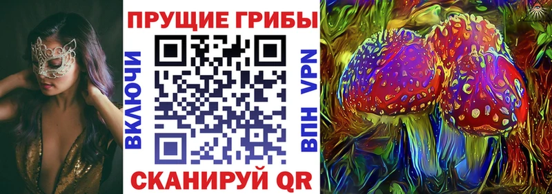 Псилоцибиновые грибы прущие грибы  купить  сайты  Волчанск 