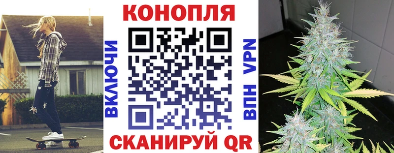 наркота  Волчанск  Конопля White Widow 